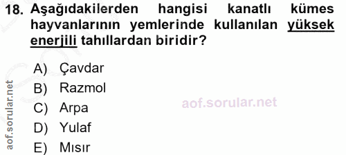 18. soru: Aşağıdakilerden hangisi kanatlı kümes hayvanlarının yemlerinde kullanılan yüksek enerjili tahıllardan biridir? A) Çav…
