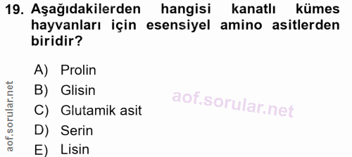 19. soru: Aşağıdakilerden hangisi kanatlı kümes hayvanları için esensiyel amino asitlerden biridir? A) Prolin B) Glisin C) Glut…