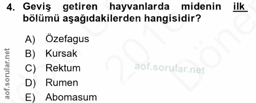 4. soru: Geviş getiren hayvanlarda midenin ilk bölümü aşağıdakilerden hangisidir? A) Özefagus B) Kursak C) Rektum D) Rumen E)…