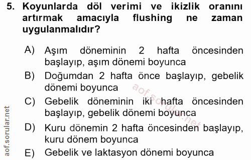 5. soru: Koyunlarda döl verimi ve ikizlik oranını artırmak amacıyla flushing ne zaman uygulanmalıdır? A) Aşım döneminin 2 haft…