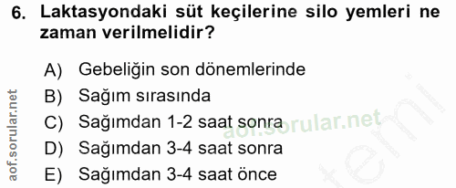 6. soru: Laktasyondaki süt keçilerine silo yemleri ne zaman verilmelidir? A) Gebeligin son dönemlerinde B) Sağım sırasında C)…