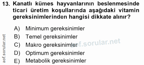 13. soru: Kanatlı kümes hayvanlarının beslenmesinde ticari üretim koşullarında aşağıdaki vitamin gereksinimlerinden hangisi dik…