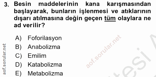 3. soru: Besin maddelerinin kana karışmasından başlayarak, bunların işlenmesi ve atıklarının dışarı atılmasına değin geçen tüm…