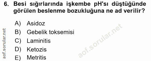 6. soru: Besi sığırlarında işkembe pH'sı düştüğünde görülen beslenme bozukluğuna ne ad verilir? A) Asidoz Gebelik toksemisi C)…