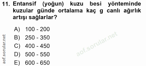11. soru: Entansif (yoğun) kuzu besi yönteminde kuzular günde ortalama kaç g canlı ağırlık artışı sağlarlar? A) 100 - 200 B) 25…