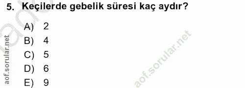 5. soru: Keçilerde gebelik süresi kaç aydır? A) 2 B) 4 C) 5 D) 6 9