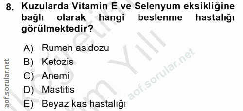 8. soru: Kuzularda Vitamin E ve Selenyum eksikliğine bağlı olarak hangi beslenme hastalığı görülmektedir? A) Rumen asidozu B)…