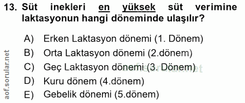 13. soru: Süt inekleri en yüksek süt verimine laktasyonun hangi döneminde ulaşılır? A) Erken Laktasyon dönemi (1. Dönem) B) Ort…