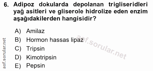 6. soru: Adipoz dokularda depolanan trigliseridleri yağ asitleri ve gliserole hidrolize eden enzim aşağıdakilerden hangisidir?…