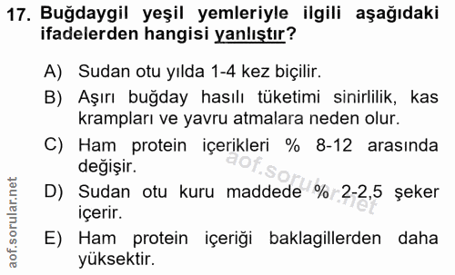 17. soru: Buğdaygil yeşil yemleriyle ilgili aşağıdaki ifadelerden hangisi yanlıştır? A) Sudan otu yılda 1-4 kez biçilir. B) Aşı…