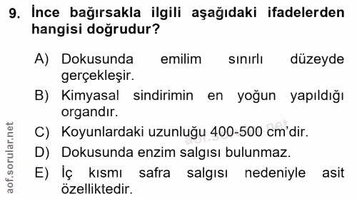 9. soru: İnce bağırsakla ilgili aşağıdaki ifadelerden hangisi doğrudur? A) Dokusunda emilim sinirli düzeyde gerçekleşir. B) Ki…