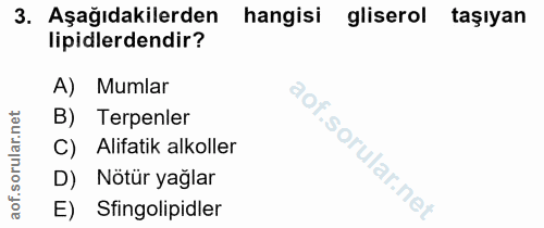 3. soru: Aşağıdakilerden hangisi gliserol taşıyan lipidlerdendir? A) Mumlar B) Tepenler C) Alifatik alkoller D) Notür yağlar E…