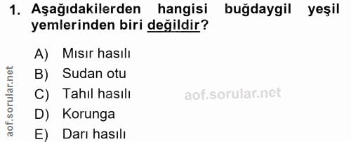 1. soru: Aşağıdakilerden hangisi buğdaygil yeşil yemlerinden biri değildir? A) Mısır hasılı B) Sudan otu C) Tahıl hasılı D) Ko…