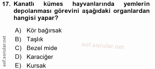 17. soru: Kanatlı kümes hayvanlarında yemlerin depolanması görevini aşağıdaki organlardan hangisi yapar? A) Kör bağırsak B) Taş…