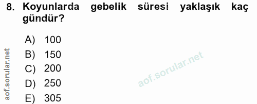8. soru: Koyunlarda gebelik süresi yaklaşık kaç gündür? A) 100 B) 150 C) 200 D) 250 E) 305