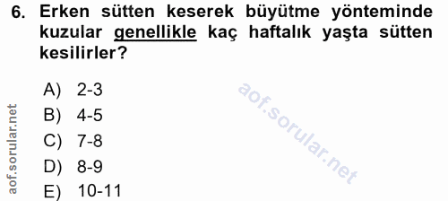 6. soru: Erken sütten keserek büyütme yönteminde kuzular genellikle kaç haftalık yaşta sütten kesilirler? A) 2-3 B) 4-5 C) 7-8…