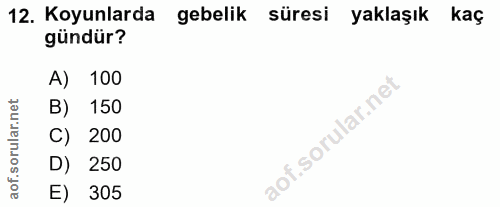 12. soru: Koyunlarda gebelik süresi yaklaşık kaç gündür? A) 100 B) 150 C) 200 D) 250 305