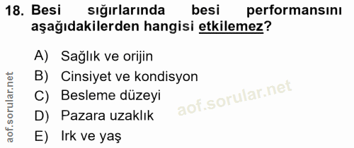 18. soru: Besi sığırlarında besi performansını aşağıdakilerden hangisi etkilemez? A) Sağlık ve orijin B) Cinsiyet ve kondisyon…