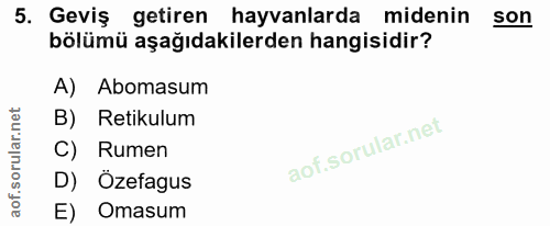 5. soru: Geviş getiren hayvanlarda midenin son bölümü aşağıdakilerden hangisidir? A) Abomasum B) Retikulum C) Rumen D) Özefagu…