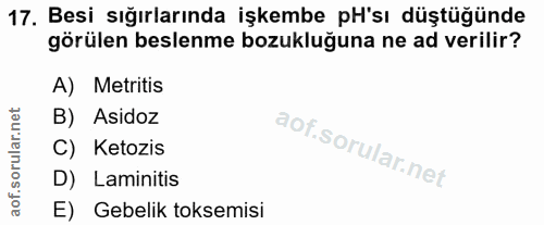 17. soru: Besi sığırlarında işkembe _pH'sı düştüğünde görülen beslenme bozukluğuna ne ad verilir? A) Metritis B) Asidoz C) Keto…