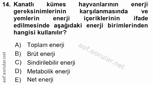 14. soru: Kanatlı kümes hayvanlarının enerji gereksinimlerinin karşılanmasında ve yemlerin enerji içeriklerinin ifade edilmesin…