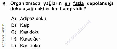 5. soru: Organizmada yağların en fazla depolandığı doku aşağıdakilerden hangisidir? A) Adipoz doku B) Kalp C) Kas doku D) Kara…