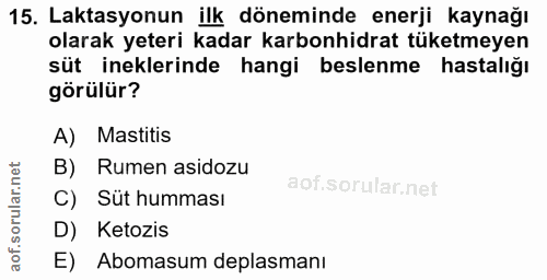 15. soru: Laktasyonun ilk döneminde enerji kaynağı olarak yeteri kadar karbonhidrat tüketmeyen süt ineklerinde hangi beslenme h…
