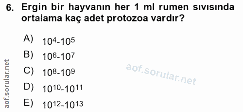 6. soru: Ergin bir hayvanın her 1 ml rumen sıvısında ortalama kaç adet protozoa vardır? A) 104-105 B) 106-107 C) 108-109 D) 10…