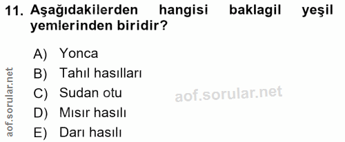 11. soru: Aşağıdakilerden hangisi baklagil yeşil yemlerinden biridir? A) Yonca B) Tahıl hasılları C) Sudan otu D) Mısır hasılı…