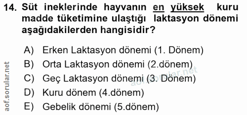 14. soru: Süt ineklerinde hayvanın en yüksek kuru madde tüketimine ulaştığı laktasyon dönemi aşağıdakilerden hangisidir? A) Erk…