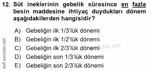 12. soru: Süt ineklerinin gebelik süresince en fazla besin maddesine ihtiyaç duydukları dönem aşağıdakilerden hangisidir? A) Ge…