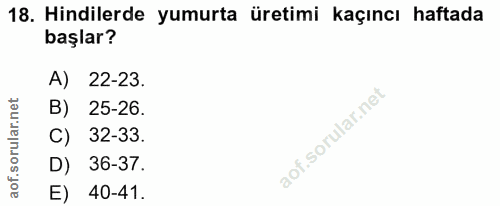 18. soru: Hindilerde yumurta üretimi kaçıncı haftada başlar? A) 22-23. B) 25-26. 32-33. D) 36-37. E) 40-41.