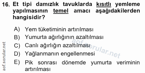 16. soru: Et tipi damızlık tavuklarda kısıtlı yemleme yapılmasının temel amacı aşağıdakilerden hangisidir? A) Yem tüketiminin a…