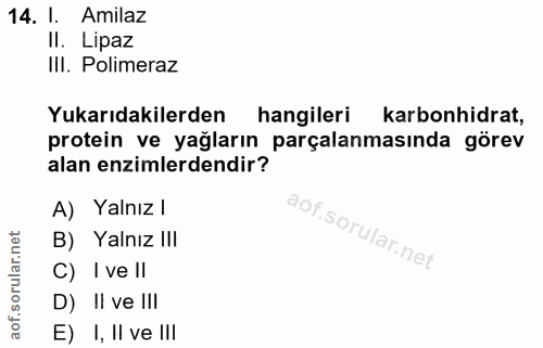 14. soru: l. Amilaz II. Lipaz III. Polimeraz Yukarıdakilerden hangileri karbonhidrat, protein ve yağların parçalanmasında görev…