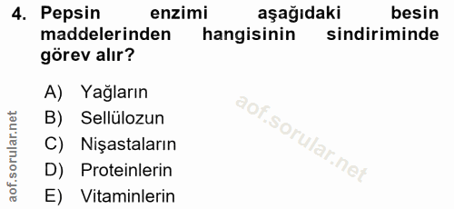 4. soru: Pepsin enzimi aşağıdaki besin maddelerinden hangisinin sindiriminde görev alır? A) Yağların B) Sellülozun C) Nişastal…