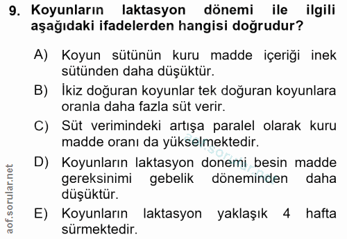 9. soru: Koyunların laktasyon dönemi ile ilgili aşağıdaki ifadelerden hangisi doğrudur? A) Koyun sütünün kuru madde içeriği in…