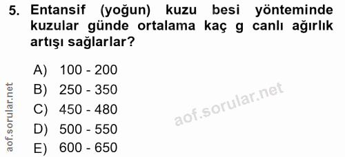 5. soru: Entansif (yoğun) kuzu besi yönteminde kuzular günde ortalama kaç g canlı ağırlık artışı sağlarlar? A) 100 - 200 B) 25…