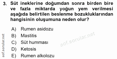 3. soru: Süt ineklerine doğumdan sonra birden bire ve fazla miktarda yoğun yem verilmesi aşağıda belirtilen beslenme bozuklukl…