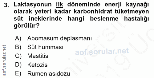 3. soru: Laktasyonun ilk döneminde enerji kaynağı olarak yeteri kadar karbonhidrat tüketmeyen süt ineklerinde hangi beslenme h…