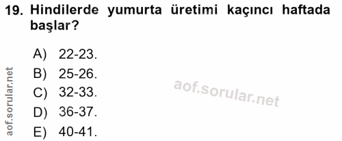 19. soru: Hindilerde yumurta üretimi kaçıncı haftada başlar? A) 22-23. B) 25-26. C) 32-33. D) 36-37. E) 40-41.