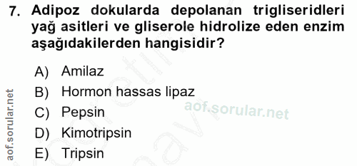 7. soru: Adipoz dokularda depolanan trigliseridleri yağ asitleri ve gliserole hidrolize eden enzim aşağıdakilerden hangisidir?…