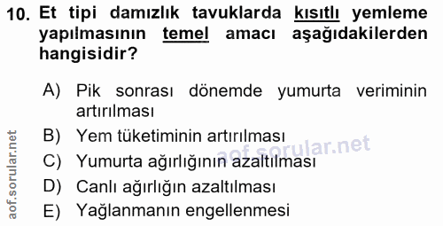 10. soru: Et tipi damızlık tavuklarda kısıtlı yemleme yapılmasının temel amacı aşağıdakilerden hangisidir? A) Pik sonrası dönem…