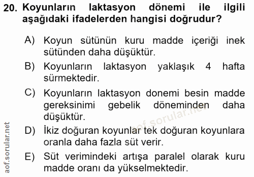 20. soru: Koyunların laktasyon dönemi ile ilgili aşağıdaki ifadelerden hangisi doğrudur? A) Koyun sütünün kuru madde içeriği in…