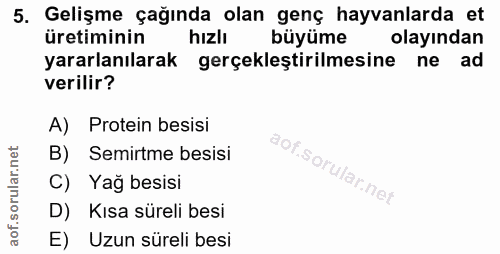 5. soru: Gelişme çağında olan genç hayvanlarda et üretiminin hızlı büyüme olayından yararlanılarak gerçekleştirilmesine ne ad…