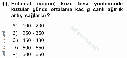 11. soru: Entansif (yoğun) kuzu besi yönteminde kuzular günde ortalama kaç g canlı ağırlık artışı sağlarlar? A) 100 - 200 250 -…