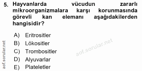 5. soru: Hayvanlarda vücudun zararlı mikroorganizmalara karşı korunmasında görevli kan elemanı aşağıdakilerden hangisidir? A)…