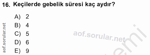 16. soru: Keçilerde gebelik süresi kaç aydır? A) 2 B) 4 C) 5 D) 6 E) 9