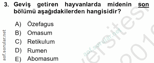 3. soru: Geviş getiren hayvanlarda midenin son bölümü aşağıdakilerden hangisidir? A) Ozefagus B) Omasum C) Retikulum D) Rumen…