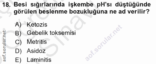18. soru: Besi sığırlarında işkembe pH'sı düştüğünde görülen beslenme bozukluğuna ne ad verilir? A) Ketozis B) Gebelik toksemis…
