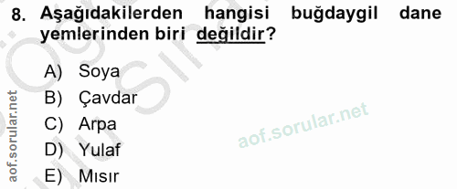 8. soru: Aşağıdakilerden hangisi buğdaygil dane yemlerinden biri değildir? A) Soya B) Çavdar C) Arpa D) Yulaf E) Mısır
